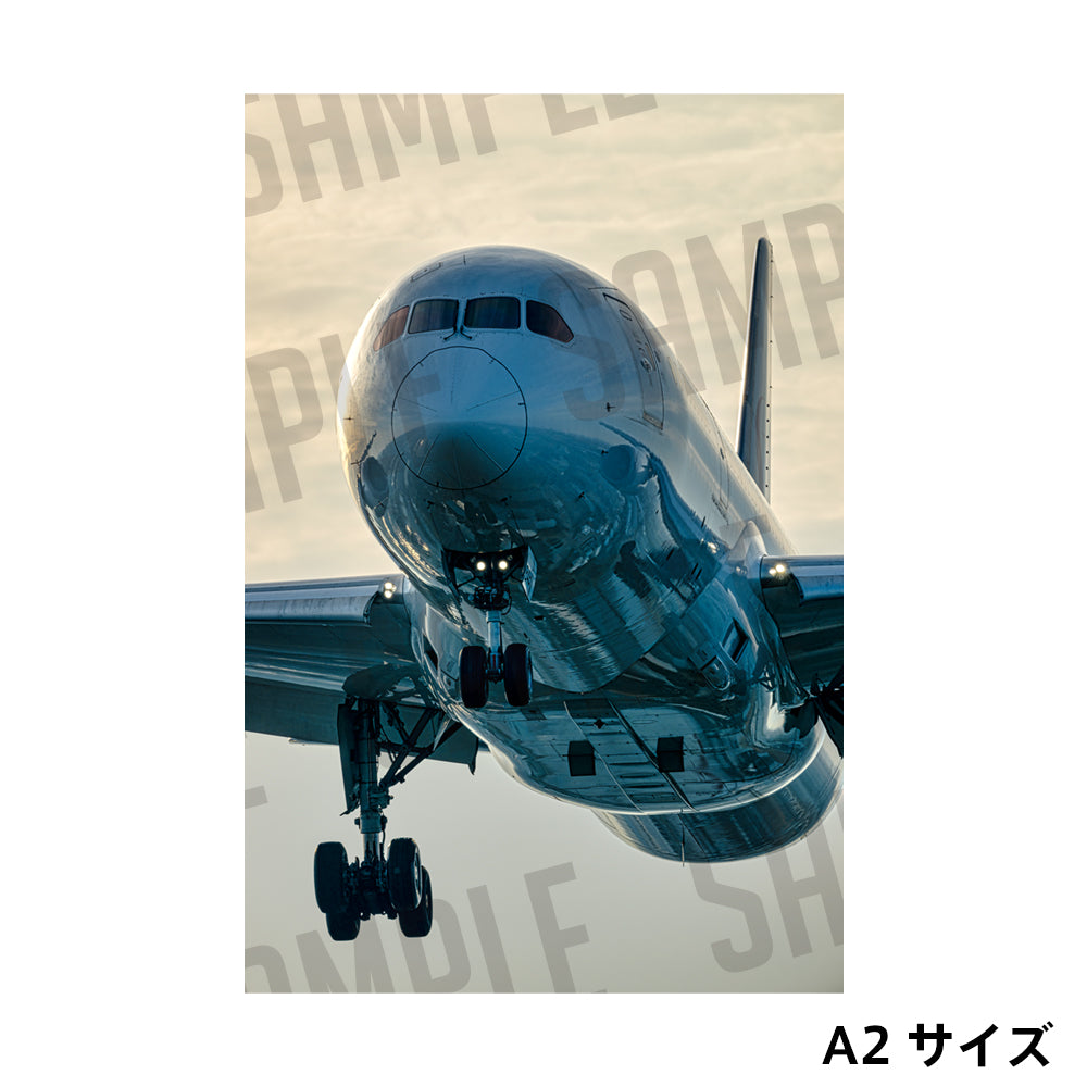 【A2サイズポスター】JAL BOEING 787-8