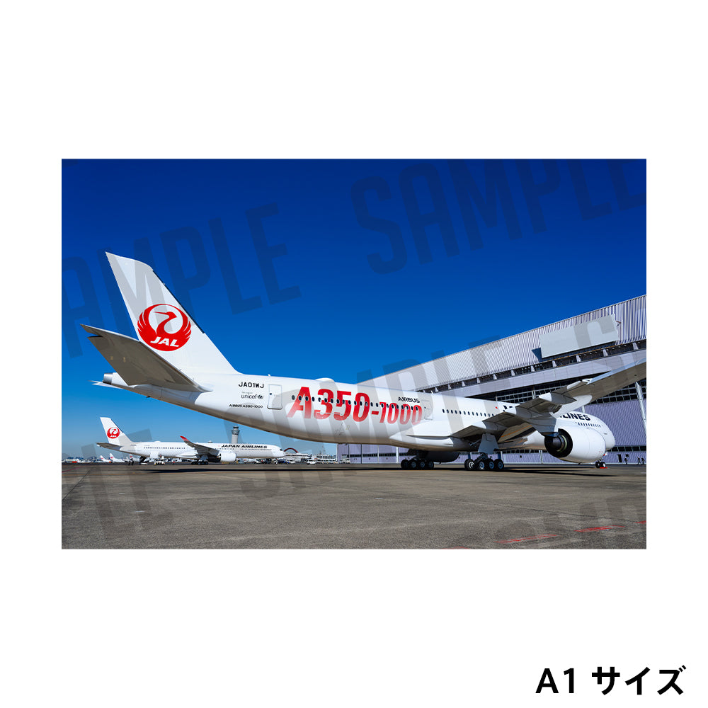 【A1サイズポスター】JAL AIRBUS A350-1000
