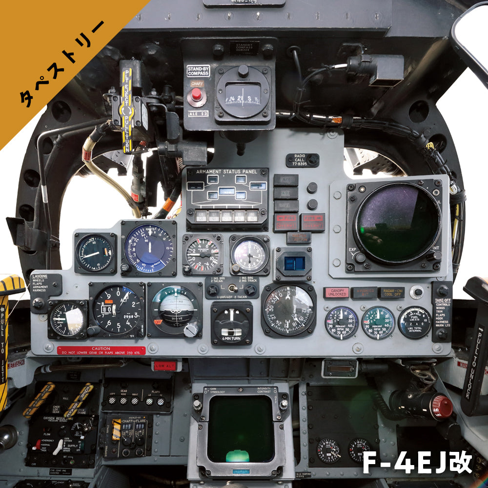 F-4EJ改 実物大コクピットタペストリー / 後席 (各部名称ページ付き)
